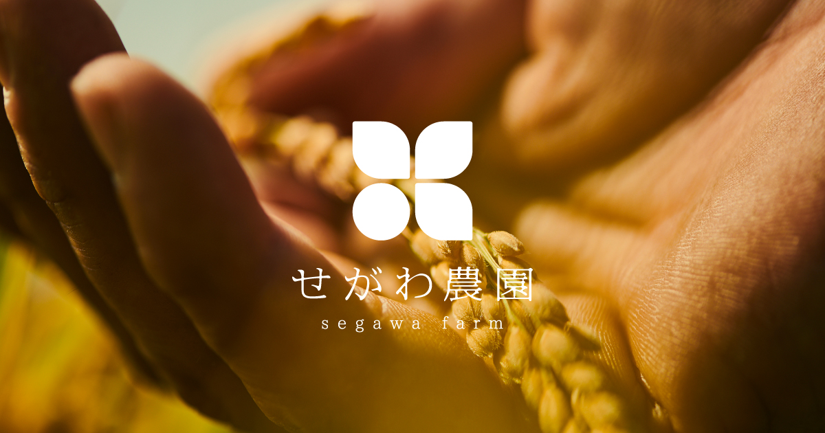 取り扱い オリジナル - せがわ農園 | お米・さくらんぼ・鈴バラ 取り扱い オリジナル - せがわ農園 | お米・さくらんぼ・鈴バラ